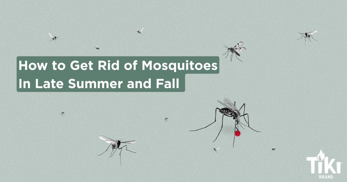 How to Get Rid of Mosquitoes in Fall Blog Cover Image - TIKI Brand