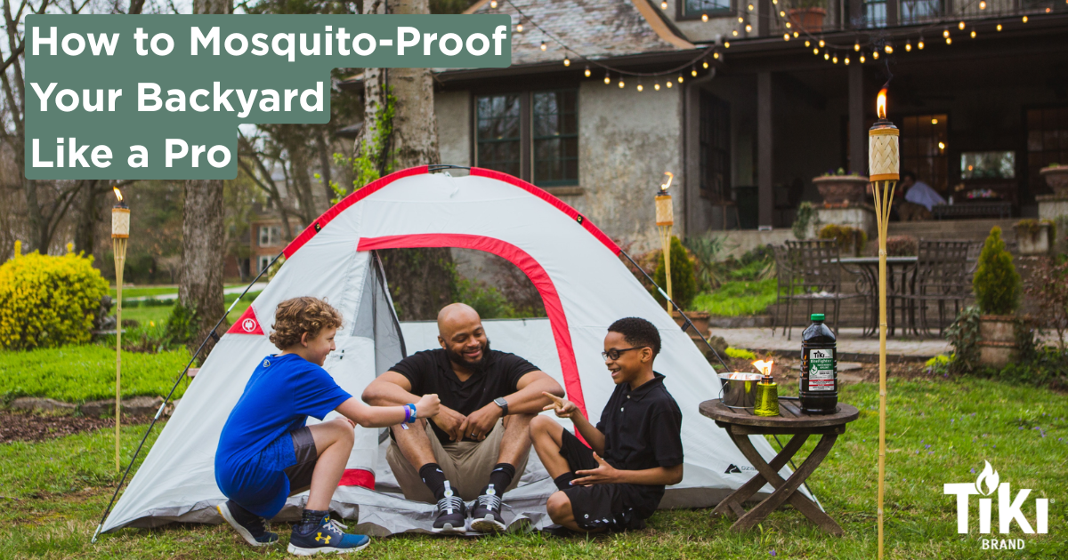 How to mosquito proof your backyard blog cover image