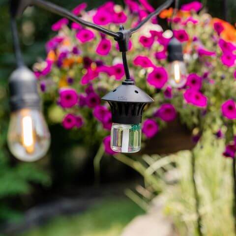 DIY: How to Make String Light Planters