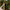 Black TIKI torch with flame lit, placed outdoors near wooden deck and greenery.