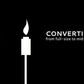 2 Pack - Easy Install Honey Copper Torches